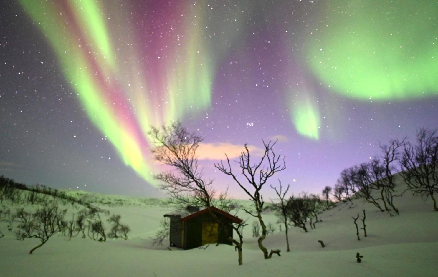 Atte Arstider Lodge Neiden Esterno foto